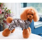 Комбинезон «Блеск», размер S (ДС 24 см, ОГ 34, ОШ 23 см, до 5 кг), серебряный - Фото 1