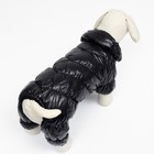 Комбинезон «Блеск», размер S (ДС 24 см, ОГ 34, ОШ 23 см, до 5 кг), чёрный - Фото 4