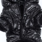 Комбинезон «Блеск», размер S (ДС 24 см, ОГ 34, ОШ 23 см, до 5 кг), чёрный - Фото 9