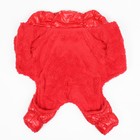 Комбинезон «Блеск», размер S, ДС 24 см, ОГ 34, ОШ 23 см, до 5 кг, красный - Фото 7