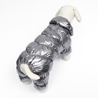 Комбинезон "Блеск", размер M (ДС 30 см, ОГ 40, ОШ 27 см, до 7 кг), серебряный - Фото 4