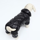 Комбинезон «Блеск», размер M (ДС 30 см, ОГ 40, ОШ 27 см, до 7 кг), чёрный - Фото 4