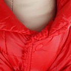 Комбинезон «Блеск», размер M, ДС 30 см, ОГ 40, ОШ 27 см, до 7 кг, красный - Фото 5