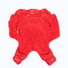 Комбинезон «Блеск», размер M, ДС 30 см, ОГ 40, ОШ 27 см, до 7 кг, красный - Фото 7