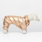 Комбинезон «Блеск», размер L (ДС 34 см, ОГ 47, ОШ 32 см, до 10 кг), золотой - Фото 3