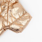 Комбинезон «Блеск», размер L (ДС 34 см, ОГ 47, ОШ 32 см, до 10 кг), золотой - Фото 11