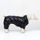 Комбинезон «Блеск», размер L (ДС 34 см, ОГ 47, ОШ 32 см, до 10 кг), чёрный - Фото 3