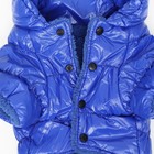 Комбинезон «Блеск», размер L, ДС 34 см, ОГ 47, ОШ 32 см, до 10 кг, синий - Фото 9