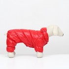 Комбинезон «Блеск», размер L, ДС 34 см, ОГ 47, ОШ 32 см, до 10 кг, красный - Фото 3