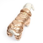 Комбинезон "Блеск", размер XL (ДС 39 см, ОГ 53, ОШ 35 см, вес 14 кг), золотой - Фото 4