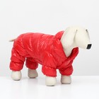 Комбинезон «Блеск», размер XL, ДС 39 см, ОГ 53, ОШ 35 см, вес 14 кг, красный - Фото 2