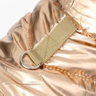 Комбинезон "Блеск", размер 2XL (ДС 44 см, ОГ 59, ОШ 40 см), золотой - Фото 5