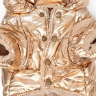 Комбинезон "Блеск", размер 2XL (ДС 44 см, ОГ 59, ОШ 40 см), золотой - Фото 10