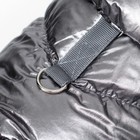 Комбинезон «Блеск», размер 2XL (ДС 44 см, ОГ 59, ОШ 40 см), серебряный - Фото 5