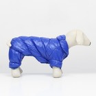 Комбинезон «Блеск», размер 2XL, ДС 44 см, ОГ 59, ОШ 40 см, синий - Фото 3