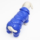 Комбинезон «Блеск», размер 2XL, ДС 44 см, ОГ 59, ОШ 40 см, синий - Фото 4