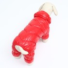 Комбинезон «Блеск», размер 2XL, ДС 44 см, ОГ 59, ОШ 40 см, красный - Фото 4