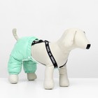Комбинезон-штаны для собак,  размер XS (ДС 26, ОТ 28 см), мятный - Фото 2