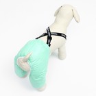 Комбинезон-штаны для собак,  размер XS (ДС 26, ОТ 28 см), мятный - Фото 4