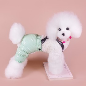Комбинезон-штаны для собак,  размер S (ДС 31, ОТ 34 см), мятный