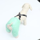 Комбинезон-штаны для собак,  размер S (ДС 31, ОТ 34 см), мятный - фото 7494280