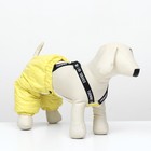 Комбинезон-штаны для собак,  размер S (ДС 31, ОТ 34 см), жёлтый - фото 7506686