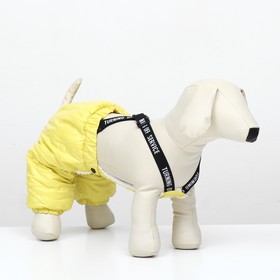 Комбинезон-штаны для собак,  размер S (ДС 31, ОТ 34 см), жёлтый