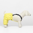Комбинезон-штаны для собак,  размер M (ДС 36, ОТ 40 см), жёлтый - фото 7506697