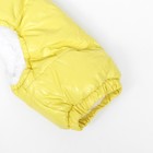 Комбинезон-штаны для собак,  размер M (ДС 36, ОТ 40 см), жёлтый - фото 7506704