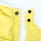 Комбинезон-штаны для собак,  размер M (ДС 36, ОТ 40 см), жёлтый - фото 7506705