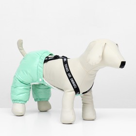 Комбинезон-штаны для собак,  размер L (ДС 40, ОТ 44 см), мятный