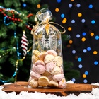 Пакет фасовочный новогодний БОПП, с новогодним рисунком «Открытка с подарком», 15×30 см 9673622