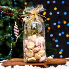 Пакет новогодний фасовочный БОПП, с донной складкой, «Открытка с подарком» 15×30 см - Фото 4