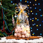 Пакет новогодний фасовочный БОПП, с донной складкой, «Открытка с подарком» 20×35 см - Фото 1