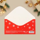Конверт для денег «Подарок от Деда Мороза», снежинки, 16.5 × 8 см - Фото 4