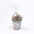 Набор новогодний подарочный Доляна "Счастья" : полотенце 30 х 60, лопатка, кисть, губка - фото 24262927