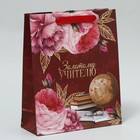 Пакет подарочный ламинированный, упаковка, «Золотому Учителю», ML 21 х 25 х 8 см - Фото 1