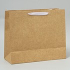 Пакет крафтовый с пластиковым окном «Зимняя сказка», 24 х 20 х 11см, Новый год - фото 22925902