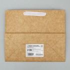 Пакет крафтовый с пластиковым окном «Зимняя сказка», 24 х 20 х 11см, Новый год - фото 22925907