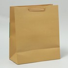 Пакет подарочный, упаковка, «Подарок», ML 23 х 27 х 11.5 см 9592103 - фото 13705123