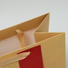 Пакет подарочный, упаковка, «Подарок», ML 23 х 27 х 11.5 см 9592103 - фото 13705124
