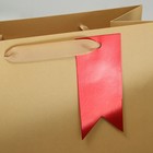 Пакет подарочный, упаковка, «Подарок», ML 23 х 27 х 11.5 см 9592103 - фото 13705125