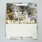 Пакет ламинированный вертикальный, конгревное тиснение «Счастливого Нового года», ML 23 × 27 × 11.5 см - Фото 7