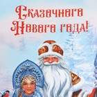 Пакет подарочный новогодний крафтовый «Дед Мороз и Снегурочка», 12 х 21 х 9 см - Фото 6