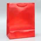 Пакет ламинированный вертикальный «Новогодний бант», MS 18 × 23 × 10 см - Фото 4