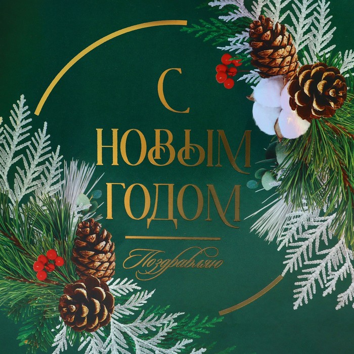 Пакет ламинированный вертикальный «Новогодний венок», ML 23 × 27 × 11.5 см