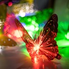 Декоративная подсветка "Бабочки" 10хLED 4000К 5м цветные 500х15х10см - фото 320218724