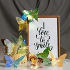 Декоративная подсветка "Бабочки" 10хLED 4000К 5м цветные 500х15х10см - фото 22941624