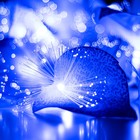 Декоративная подсветка "Антуриум" 20хLED 4000К 5м синий 500х9х10см RISALUX - Фото 1