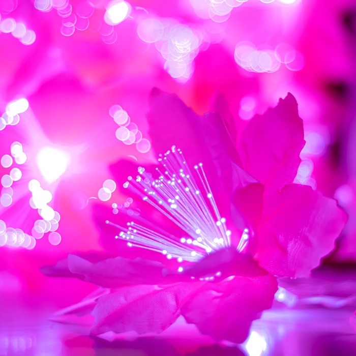Декоративная подсветка "Малопа" 20хLED 4000К 5м розовый 500х14х14см RISALUX - Фото 1